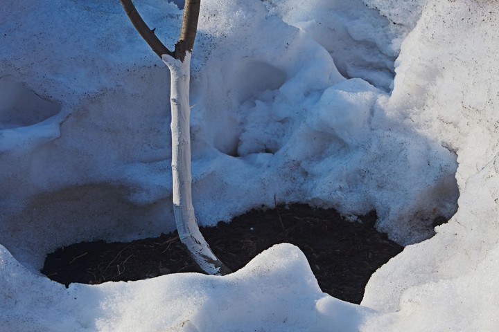 Nova zahrada vyhody snehu a mrazu v zahrade 